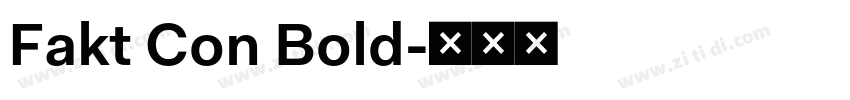 Fakt Con Bold字体转换